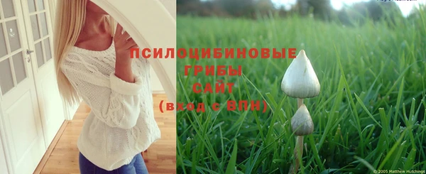 прущая мука Михайловка