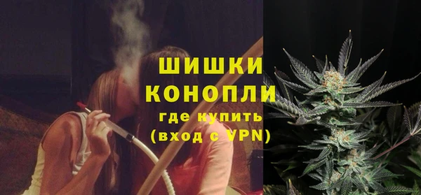 стафф Михайловск